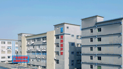 靈科超聲波：共舞職場(chǎng)新生態(tài)，賦能員工價(jià)值成長(zhǎng)